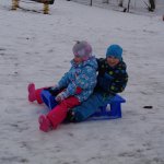phoca_thumb_m_bobovn 29.1.18  33 Fotogalerie